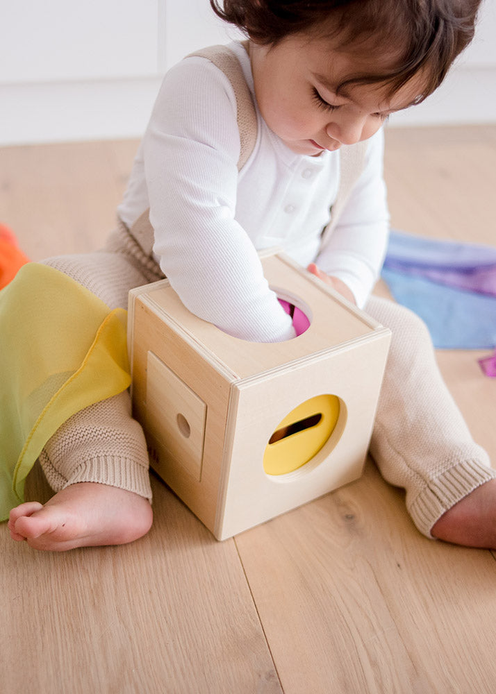 What's In The Box? | Posting, Pulling, Object Permanence, and Envelopi ...