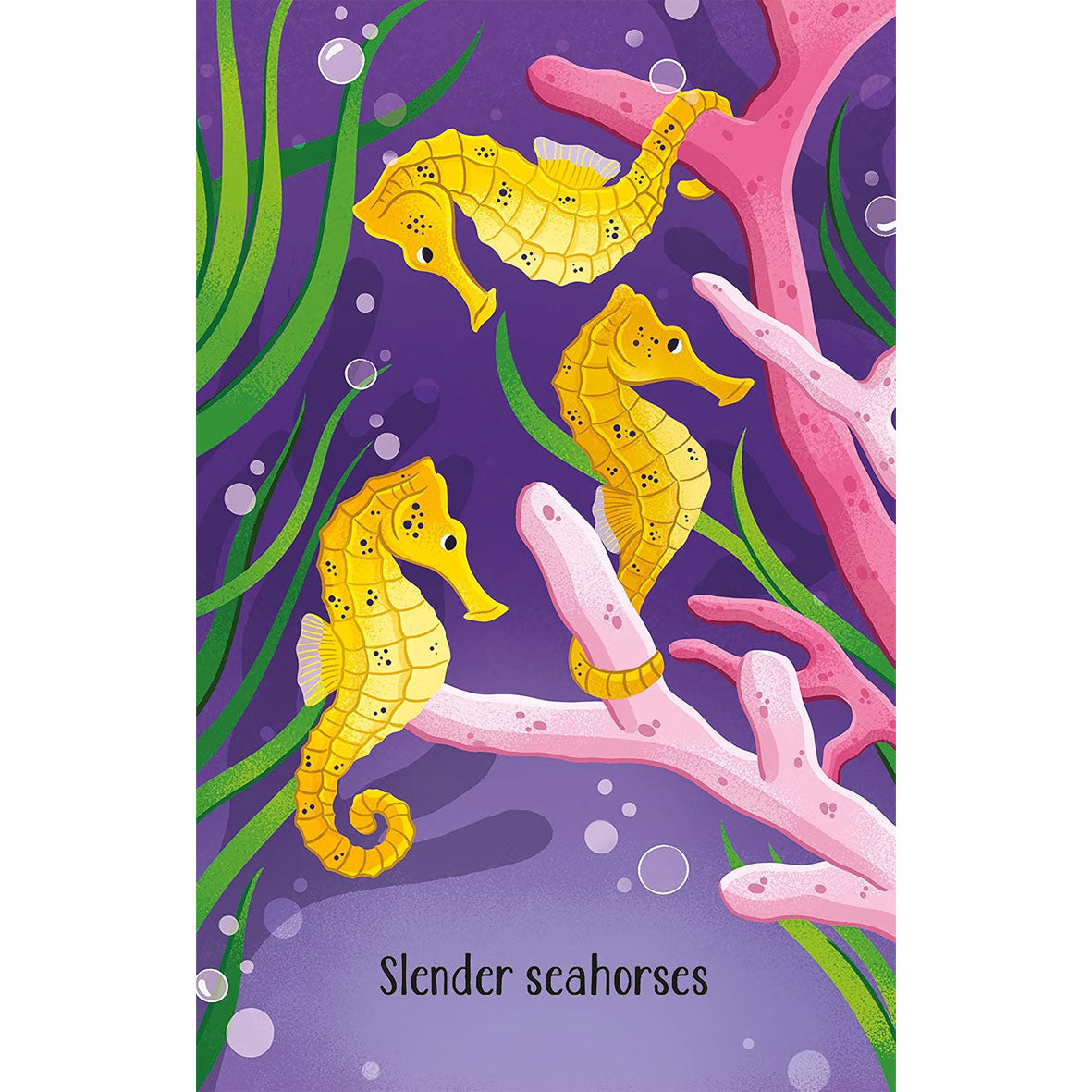seahorses card from aquarium snap game by usborne toys