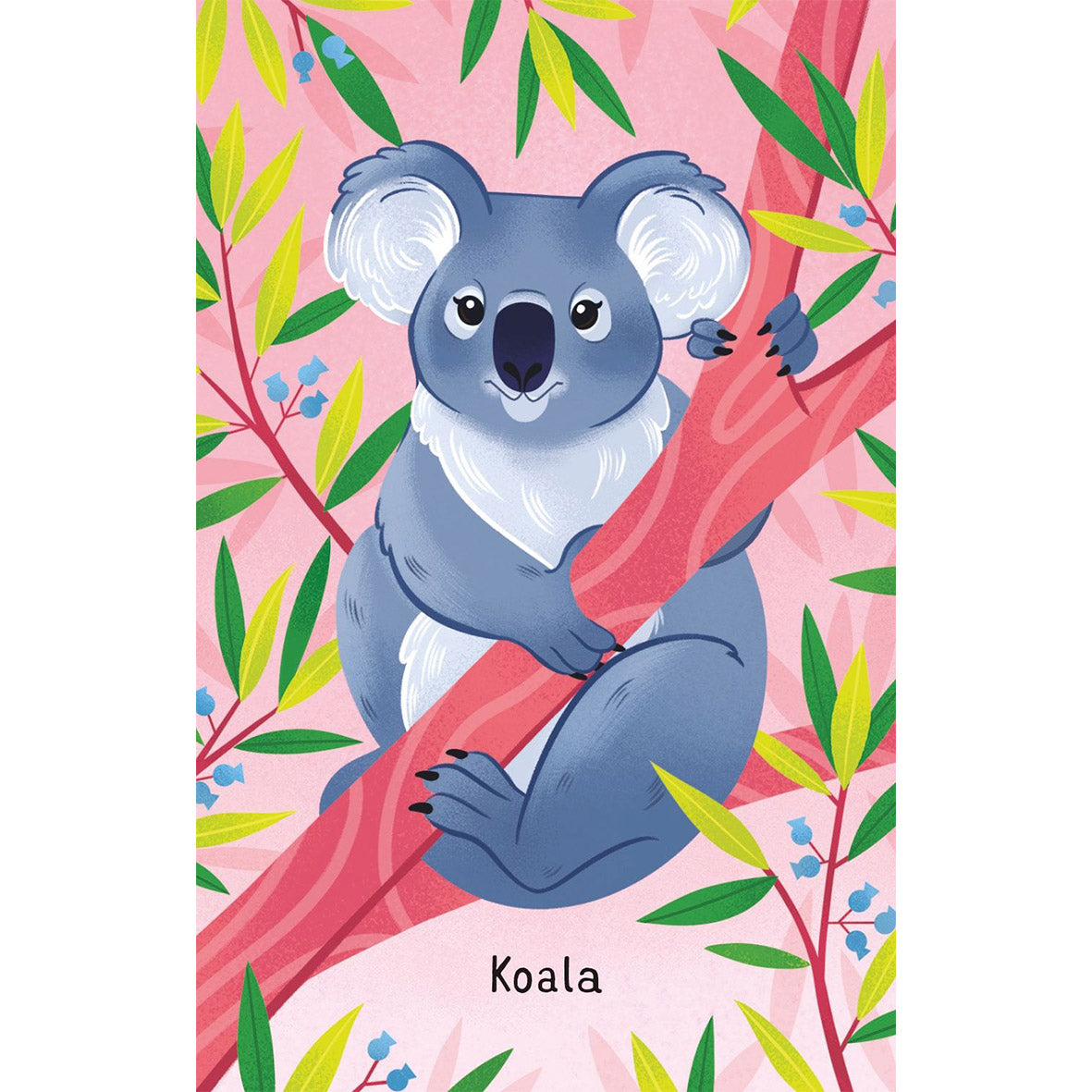 usborne australian animals koala snap card