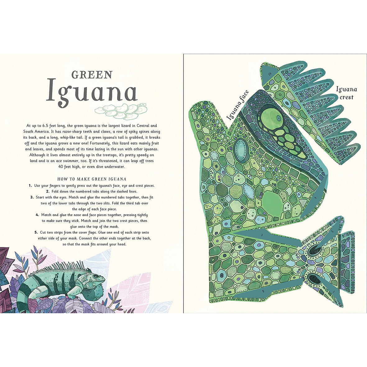 Gavin Rutherford Artist Rainforest Masks | Gavin Rutherford – Playdreamers